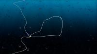 A Condensin Protein Complex Creates a Loop in DNA