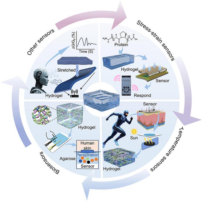 Natural biomass hydrogels for smart sensing.