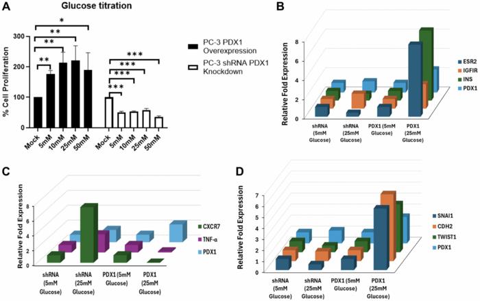 Epigenetic dysregulation and biological function of PDX1 in prostate cancer