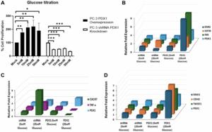 Epigenetic dysregulation and biological function of PDX1 in prostate cancer