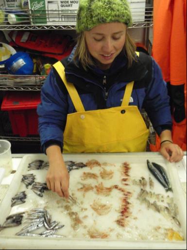 Sorting the Catch