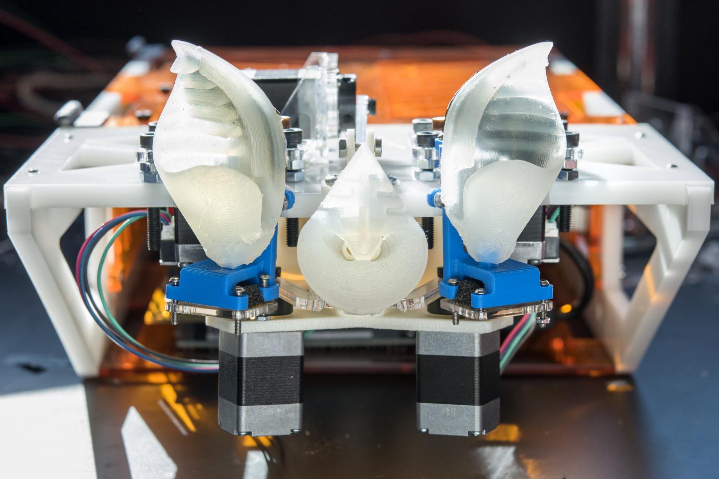 Robotic Sonar Head