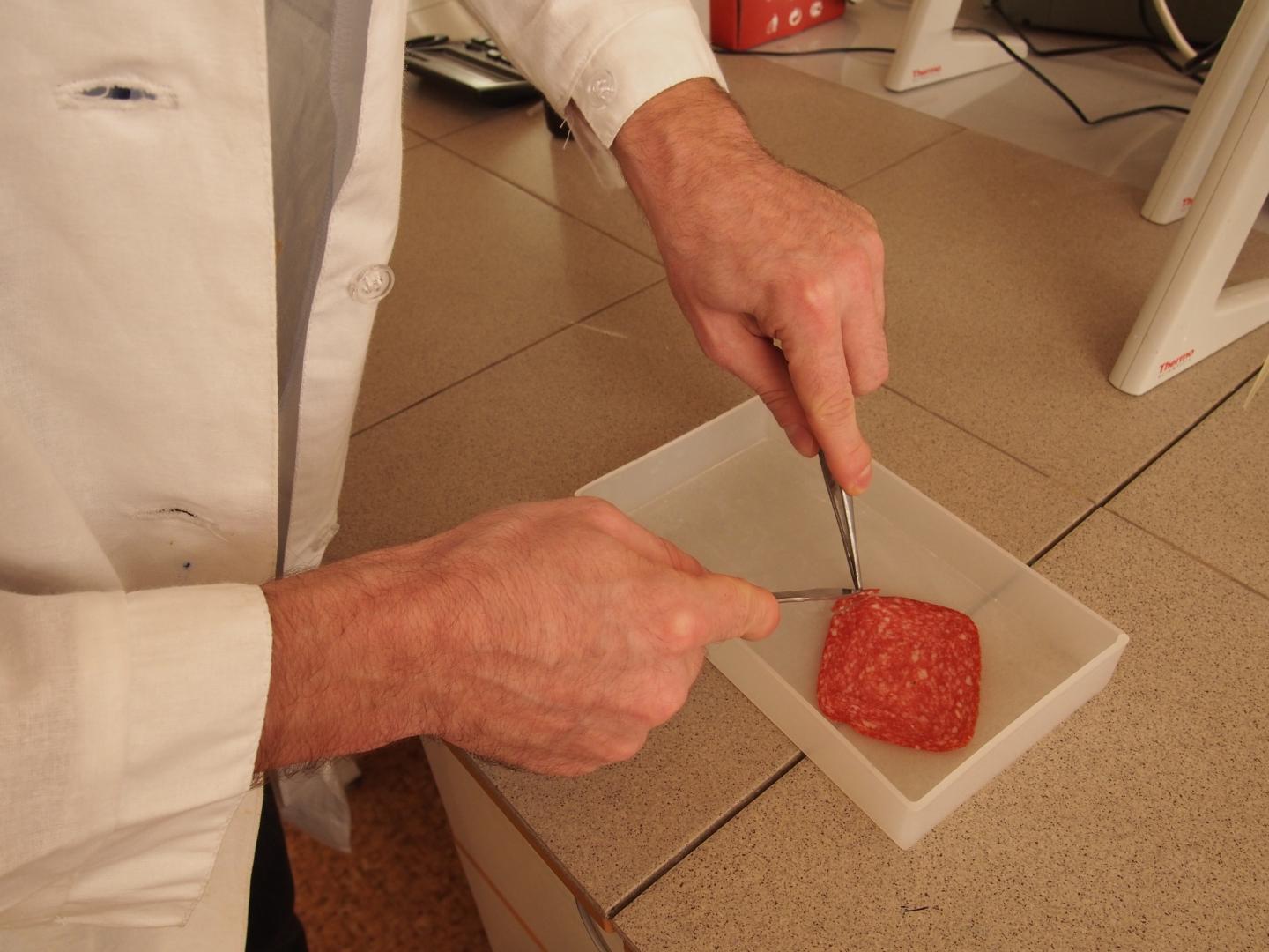 Detecting Phenols in Sausage Using Vitamin B4