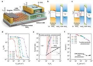 Figure | Structure, working principle and photoresponse of the tunable-sensitivity phototransistor.