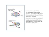 How does remdesivir work against SARS-CoV-2?