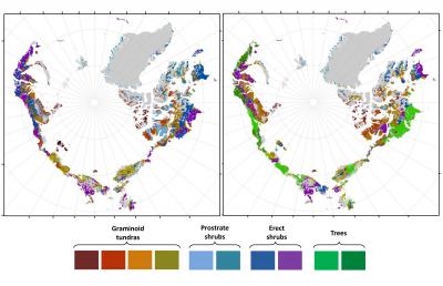 Greening in the Arctic