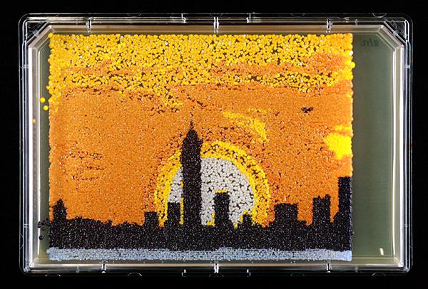 New York City Skyline 