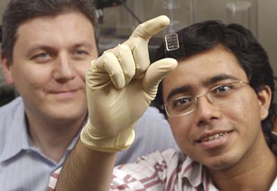 Microfluidic Chip 1