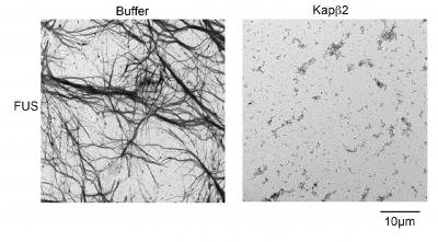 Declumping Neurons