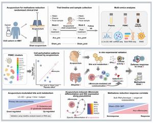 Schematic overview of the current study.