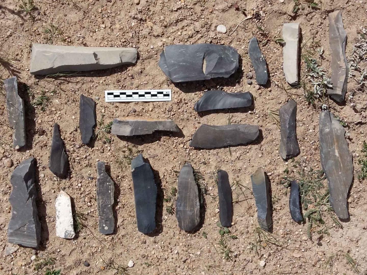 Stone Artifacts on the Surface