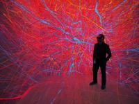 Ground-Breaking Work Improves Understanding of Brain Function