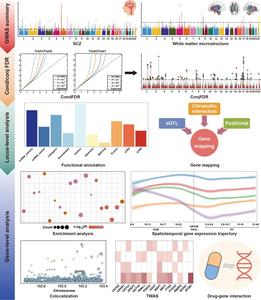 Flowchart of the study design and analysis.