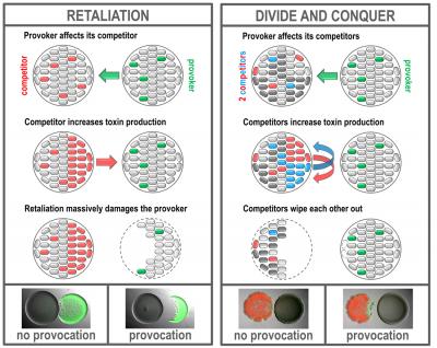 Retaliation and Divide and Conquer