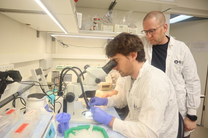 Dr. Gilad Levy (seated) & Prof. Boaz Barak.
