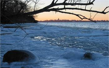 Changing Patterns of Ice