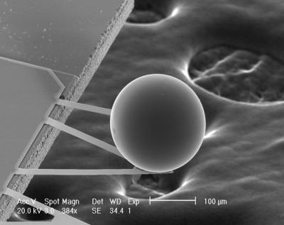Casimir Force