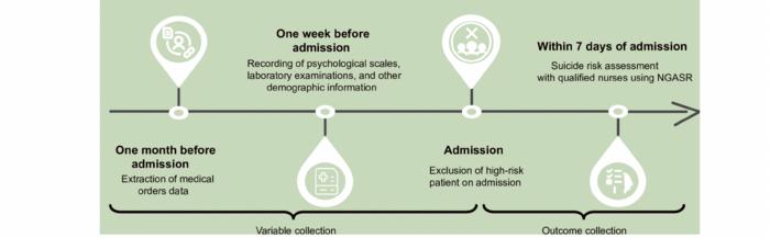 Flowchart of Patient Data Collection and Suicide Risk Assessment Timeline
