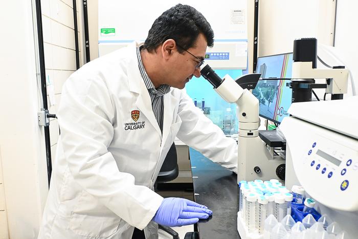Research shows removing a single gene makes colon cancer cells a target for immunotherapy