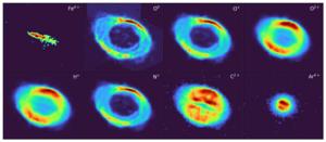 An illustrative set of 8 individual WEAVE LIFU emission-line images of the Ring Nebula