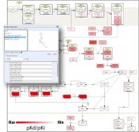 Visualization of the Screening Result of a Potential Drug Against Biological Molecules Involved in a