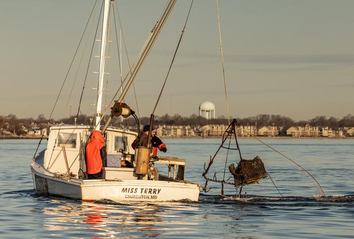 Recovering Ghost Traps