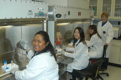 T-Cell (1 of 2)