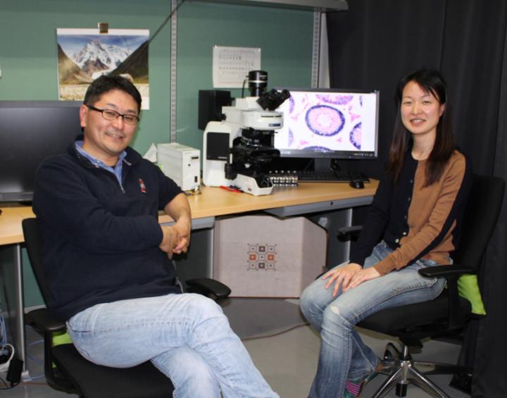Shosei Yoshida and Kanako Ikami, National Institutes of Natural Sciences