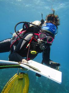 Emily Anderson in MarineGEO Belize Site
