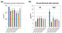 Original Screening Method for Immune Response Modulators