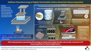 Proposed carbon nanotube-based nanocomposites and piezoresistive sensors