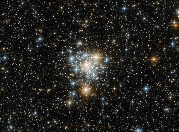 Toucan and the Cluster