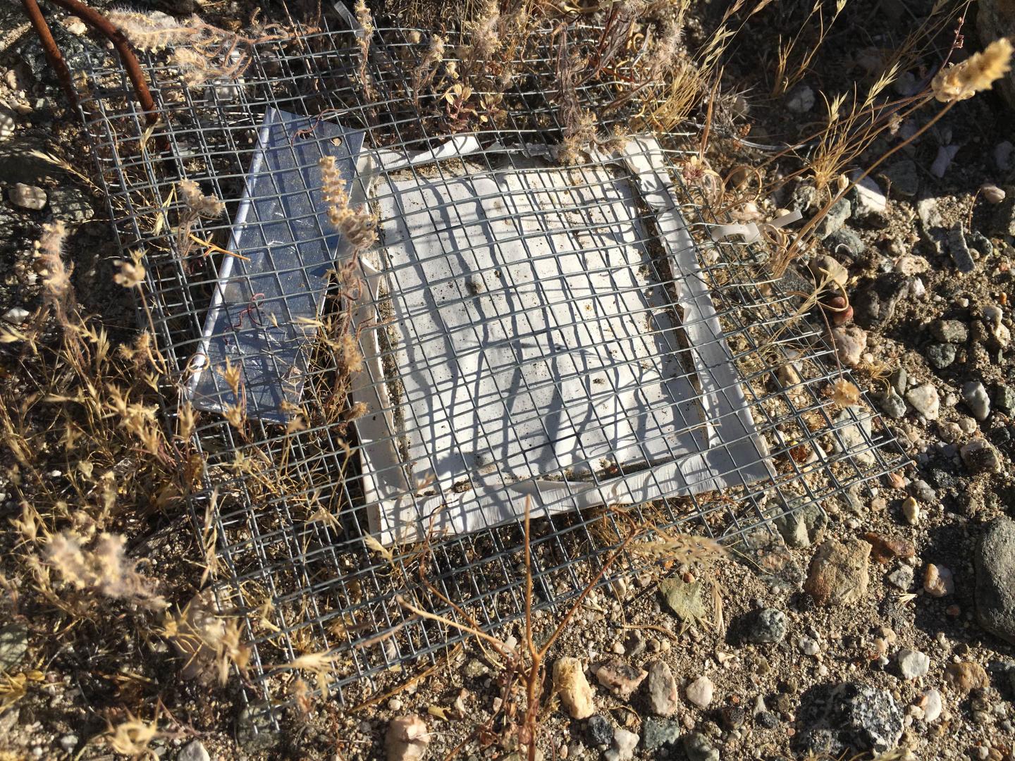 Microbial Cage