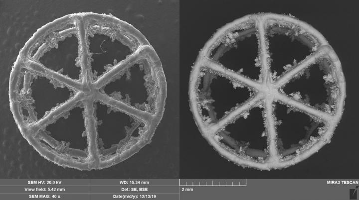 The researchers started applying silver nanoparticles