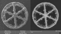 The researchers started applying silver nanoparticles