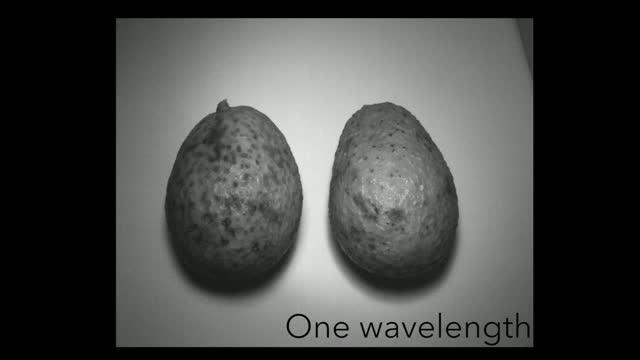 HyperCam Avocado Time Lapse
