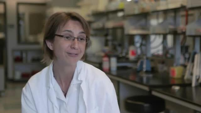 FRI Program -- Biofilms Stream