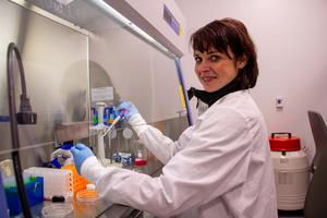 Claudia Loebel preparing samples in the lab