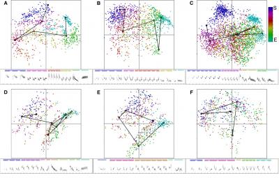 Lachlan Bird Island Panels 