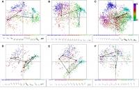 Lachlan Bird Island Panels 