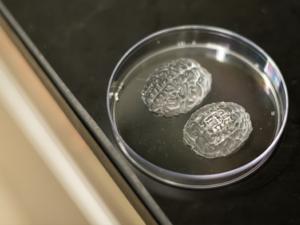 various 3D shapes with operational circuits and antennas