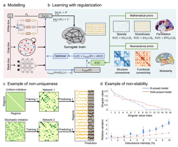 Solving Inverse Problems for AI-Based Surrogate Brains