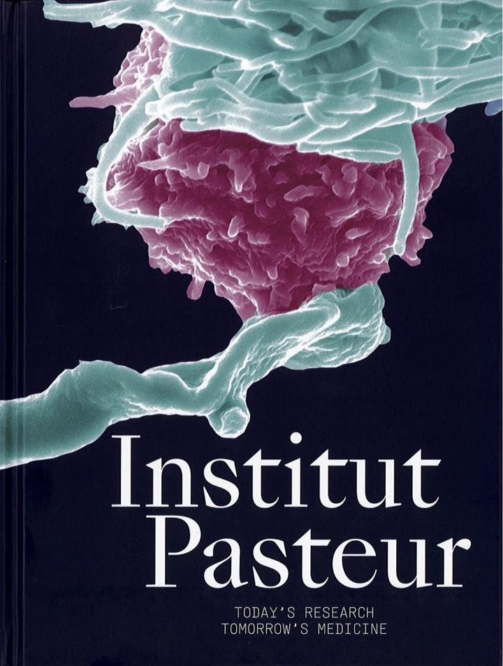 Institut Pasteur: Today's Research, Tomorrow's Medicine