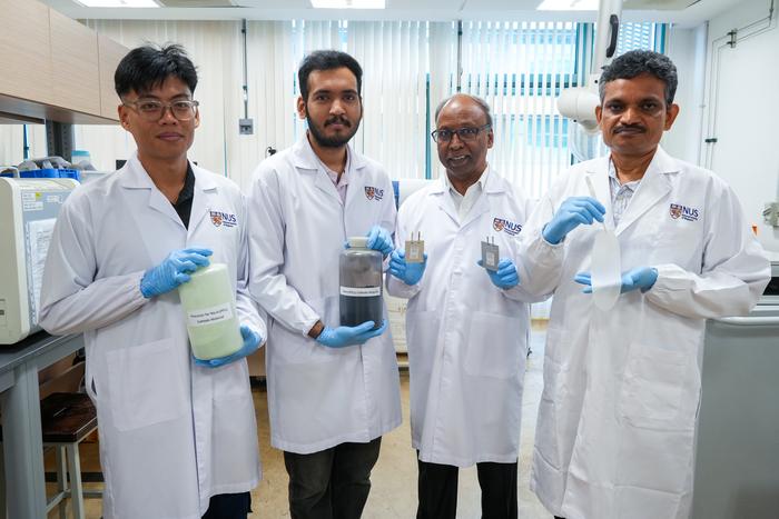 NUS CDE researchers develop safer all-solid-state sodium battery with low-cost 2D material