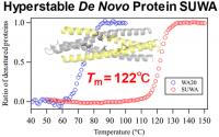 Hyperstable de novo protein SUWA