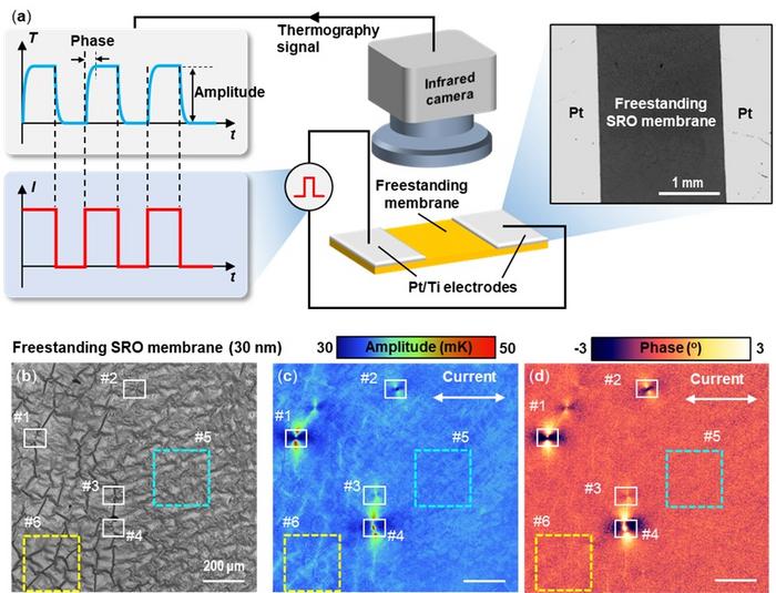 Lock-in thermography maps hidden defects in freestanding oxide membranes