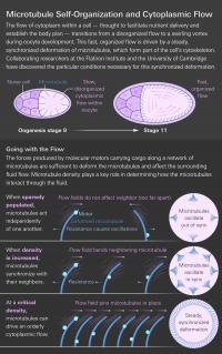 Infographic