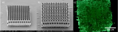Tissue Scaffolds
