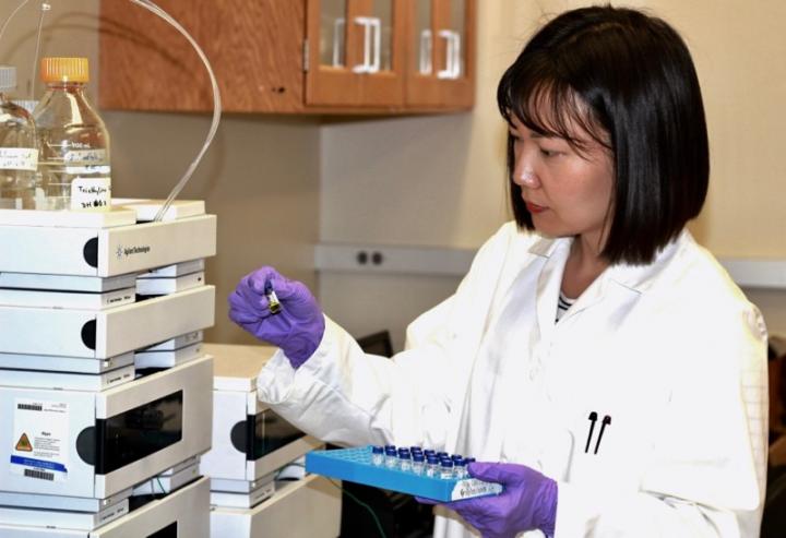 Xuelian Bai, Desert Research Institute