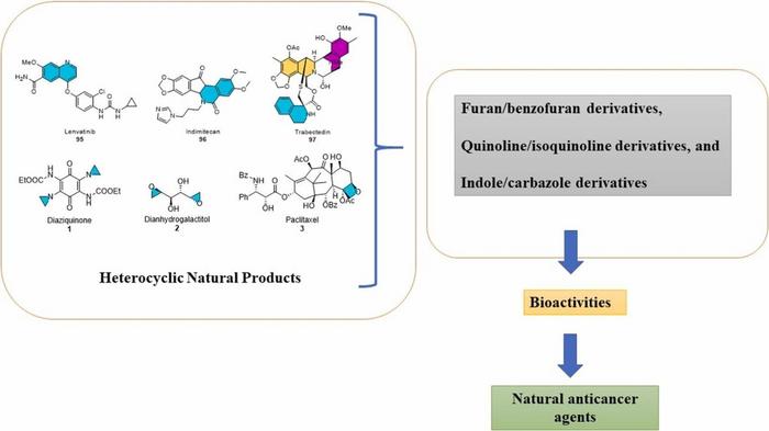 Important anticancer heterocyclic molecules: natural and artificial.